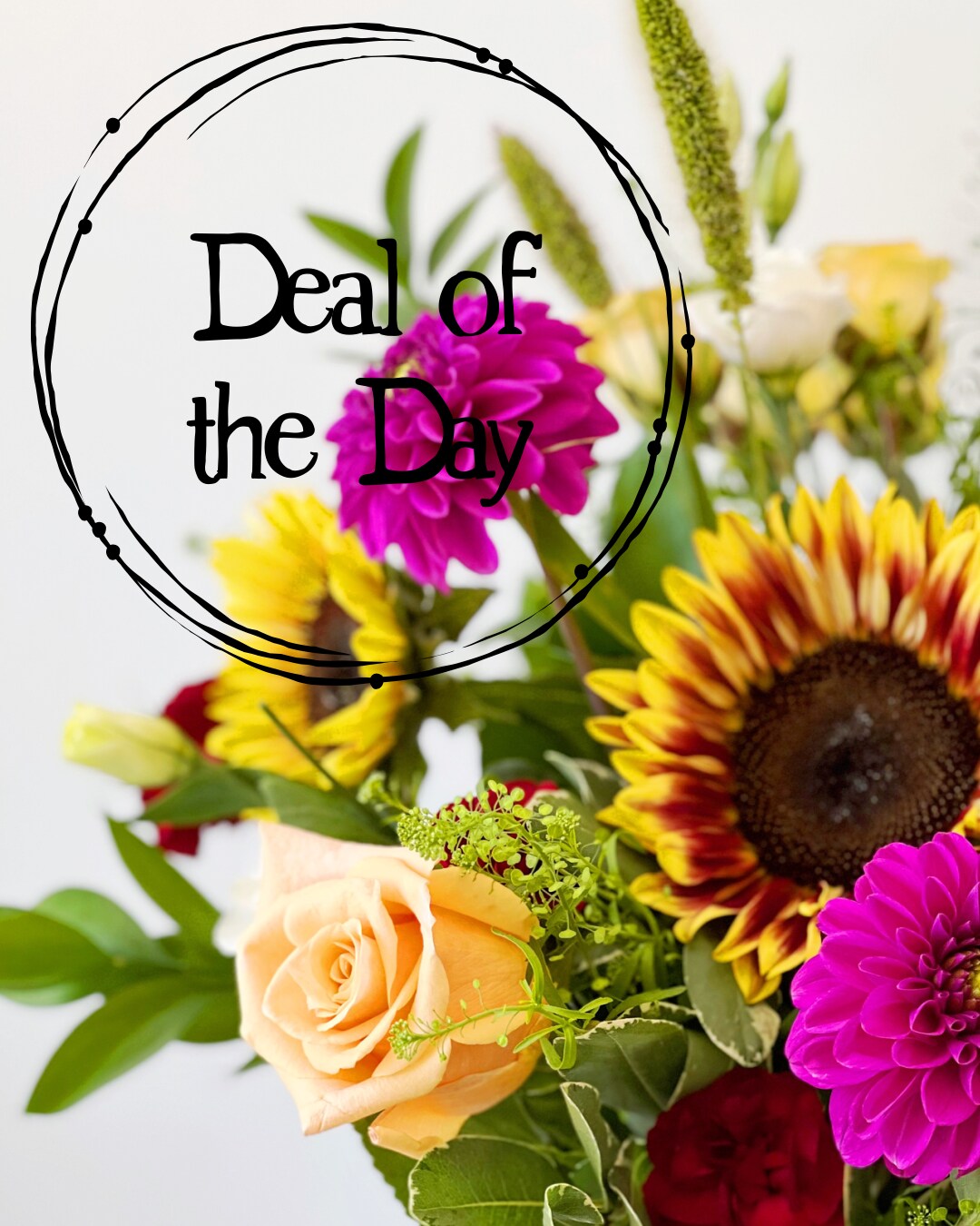 Fall deal of the day